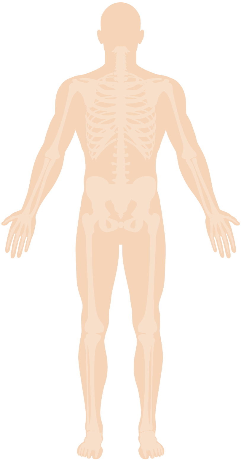 body